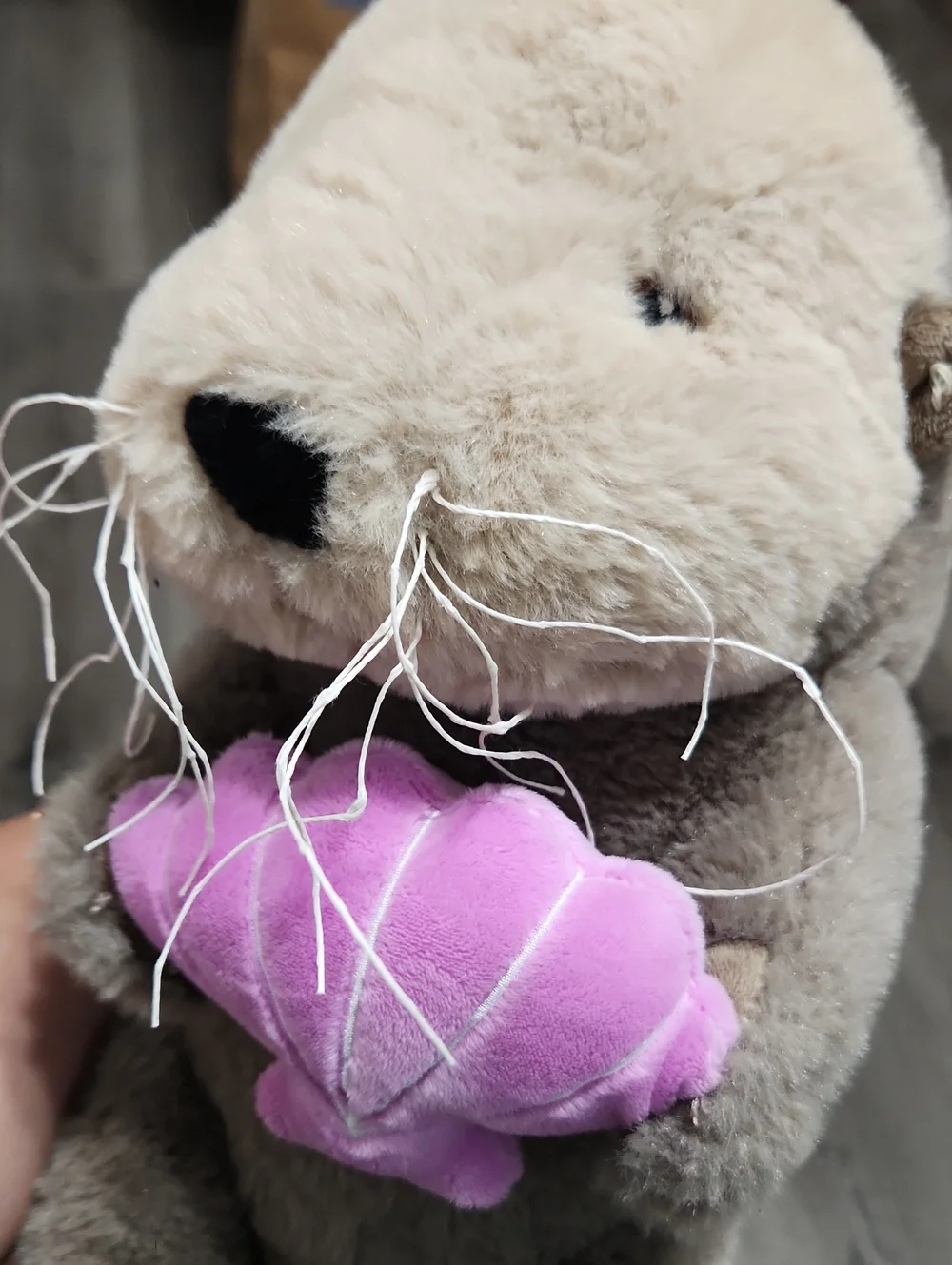Plush Otter Holding Shell